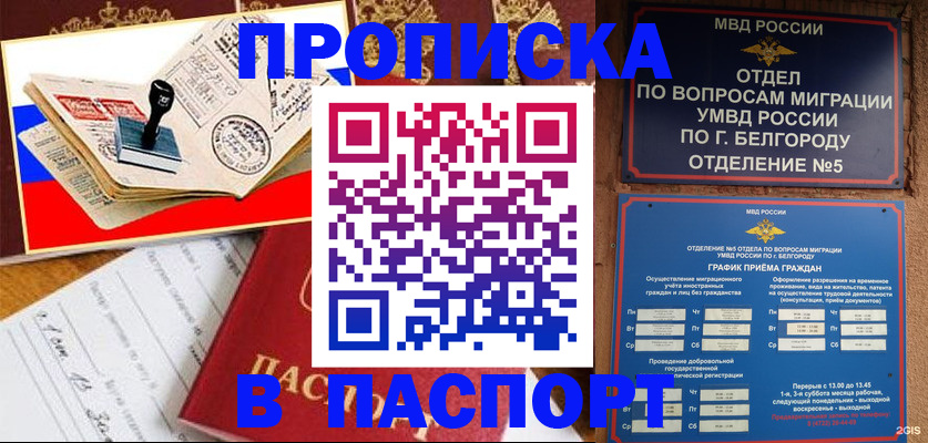 купить прописку в Тайшете